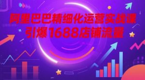 阿里巴巴精细化运营实战课,引爆1688店铺流量-创新Ovo