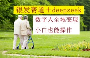 银发赛道+deepseek数字人全域变现,小白也能操作-创新Ovo