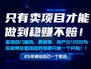 只有卖项目才能做到稳挣不赔,门槛低,更简单,你也可以年入百个W【揭秘】-创新Ovo