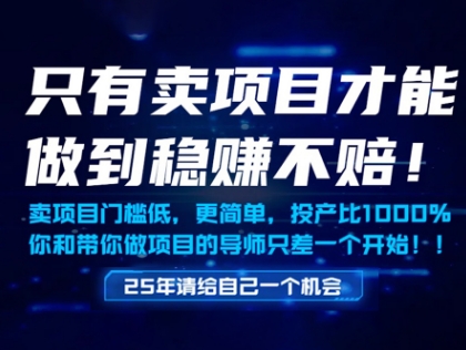 只有卖项目才能做到稳挣不赔，门槛低，更简单，你也可以年入百个W【揭秘】-创新Ovo