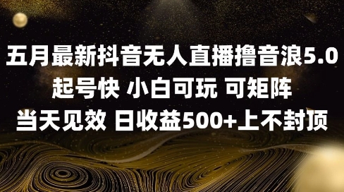 2025五月最新无人直播撸音浪单日产出5张+实操教程【揭秘】-创新Ovo