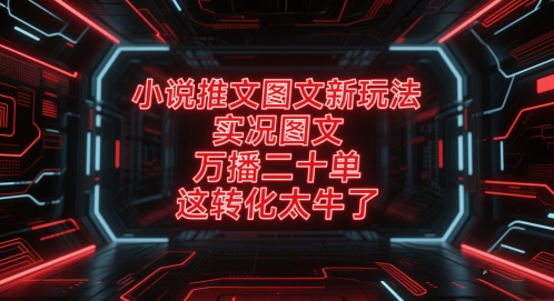 小说推文图文新玩法，实况图文，万播二十单，这转化太牛了！-创新Ovo
