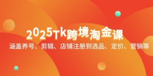 2025Tk跨境淘金课:涵盖养号、剪辑、店铺注册到选品、定价、营销等-创新Ovo
