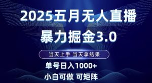 2025五月无人直播暴力掘金3.0，当天上手，当天拿结果，单号日入1k+小白可做可矩阵【揭秘】-创新Ovo