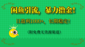 闲鱼引流，暴力撸金，日盈利1000+，长期稳定！(附免费无货源渠道-创新Ovo
