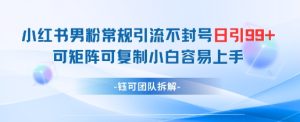小红书男粉常规引流不封号日引99+变现简单 可矩阵可复制小白容易上手-创新Ovo
