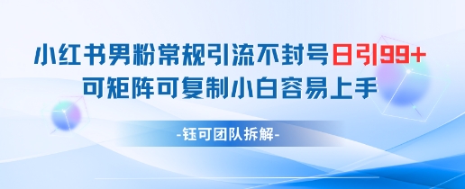小红书男粉常规引流不封号日引99+变现简单 可矩阵可复制小白容易上手-创新Ovo
