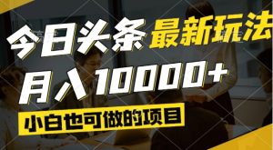 今日头条最新风口,视频掘金,小白也可月入过万,可以矩阵操作-创新Ovo