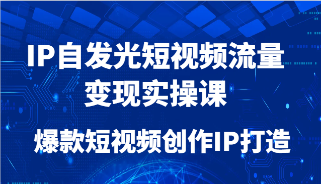 IP自发光短视频流量变现实操课，爆款短视频创作IP打造-创新Ovo