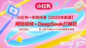 小红书一年陪伴课【2025年新课】，用短视频+deepSeek打爆款，史上最干货的小红书店铺爆款课程-创新Ovo
