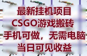 最新挂G项目，CSGO游戏搬砖，手机可做，无需电脑，当日见收益【揭秘】-创新Ovo