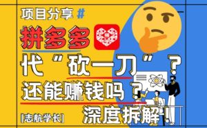 【2025最新】拼多多代坎助力项目深度拆解：还能挣钱吗?全流程玩法-创新Ovo