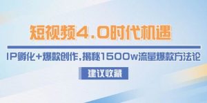 短视频4.0时代机遇:IP孵化+爆款创作,揭秘1500w流量爆款方法论-创新Ovo