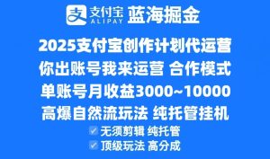 2025支付宝创作分成计划代运营,高爆自然流玩法,纯挂机高分成,合作共赢模式!-创新Ovo