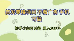 首发零撸项目 不看广告 手机可做 新手小白可以做  月入3k+【揭秘】-创新Ovo