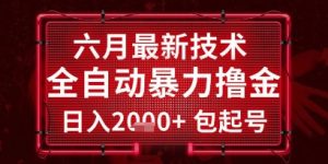 六月最新技术全自动暴力撸金,稳定日入2k+包起号,长期稳定【揭秘】-创新Ovo