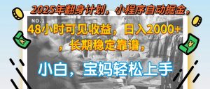 2025年翻身计划，小程序自动掘金48小时可见收益，日入2000+，长期稳定...-创新Ovo