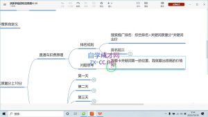 推易电商·拼多多实战运营课(更新2025月)-创新Ovo