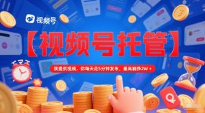 【视频号托管 】我提供视频,你每天花5分钟发布,最高躺挣2W+【揭秘】-创新Ovo