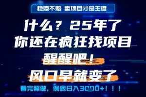 什么？25年你还在疯狂找项目做，醒醒吧，看完这些你全都懂了！【揭秘】-创新Ovo