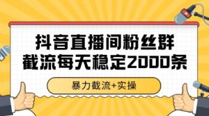 抖音直播间粉丝群暴力截流，一台电脑每天稳定2000条数据【揭秘】-创新Ovo