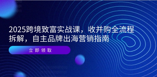 2025跨境致富实战课，收并购全流程拆解，自主品牌出海营销指南-创新Ovo