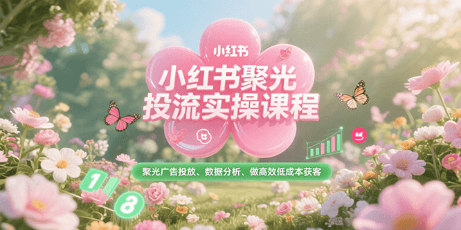 小红书聚光投流实操课程，聚光广告投放、数据分析、做高效低成本获客-创新Ovo