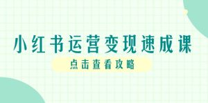 小红书运营变现速成课，账号搭建到暴力起号，个人IP全流程指南-创新Ovo