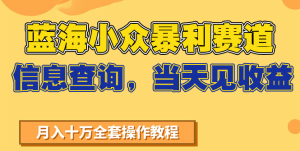 蓝海小众暴利赛道，信息查询，当天见收益，不讲玄学，7天搞了2万+-创新Ovo