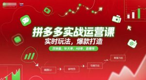 拼多多实战运营课，实时玩法，爆款打造，改销量，补大单，AB单，直播等(更新2025月)-创新Ovo