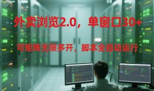 外卖浏览2.0,单窗口30+可矩阵无限多开,脚本全自动运行【揭秘】-创新Ovo