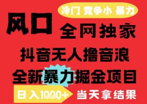 25年6月高爆抖音无人直播最新撸音浪掘金项目,解放双手小白可做,无脑日入1k+,门槛低【揭秘】-创新Ovo