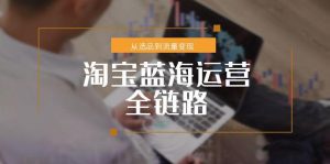 淘宝蓝海运营全链路,从选品到流量变现,小类目突围完整方案-创新Ovo