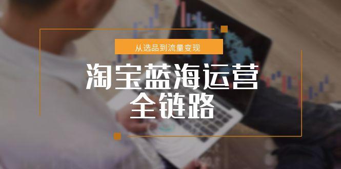淘宝蓝海运营全链路，从选品到流量变现，小类目突围完整方案-创新Ovo