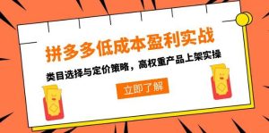 拼多多低成本盈利实战,类目选择与定价策略,高权重产品上架实操-创新Ovo