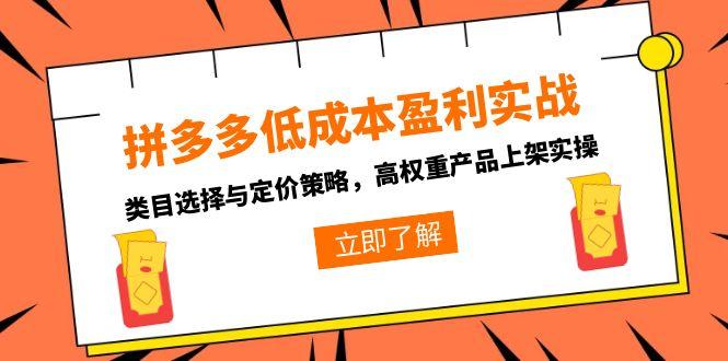 拼多多低成本盈利实战，类目选择与定价策略，高权重产品上架实操-创新Ovo