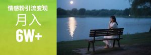 情感粉引流变现实操课：单月变现6w+，情感粉引流变现实操课-创新Ovo
