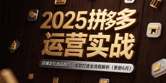 2025拼多多运营实战：店铺定位选品技巧，爆款打造全流程解析(更新6月-创新Ovo
