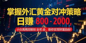 掌握外汇黄金对冲策略,日赚 800 - 2000,小众高回报创业机会,助你实...-创新Ovo