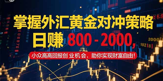 掌握外汇黄金对冲策略，日赚 800 – 2000，小众高回报创业机会，助你实…-创新Ovo