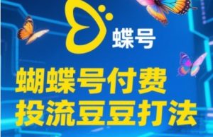 2025蝴蝶号付费投流豆豆打法,助新手快速掌握付费流量撬动自然流的核心玩法-创新Ovo