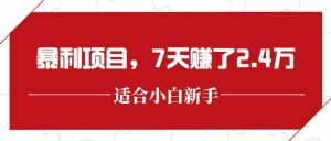 最新暴利项目，每单收益轻松在300以上，7天赚了2.4万-创新Ovo
