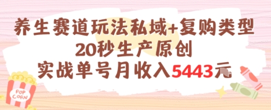 养生赛道玩法私域+复购类型，20秒生产原创实战单号月收入5k+-创新Ovo
