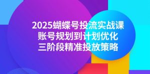 2025蝴蝶号投流实战课，账号规划到计划优化，三阶段精准投放策略-创新Ovo