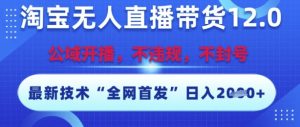 淘宝无人直播带货12.0,最新技术,不封号,不违规,操作简单,开播爆单,日入多张【揭秘】-创新Ovo