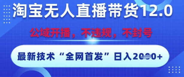 淘宝无人直播带货12.0，最新技术，不封号，不违规，操作简单，开播爆单，日入多张【揭秘】-创新Ovo