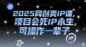 2025网创类IP课，项目会死IP永生，可操作一辈子-创新Ovo