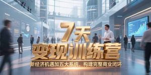7天咨询师变现训练营，新经济机遇加五大系统，构建完整商业闭环-创新Ovo