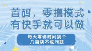 首码零撸项目，有快手就可以做，每天业务时间搞个几张不是问题【揭秘】-创新Ovo