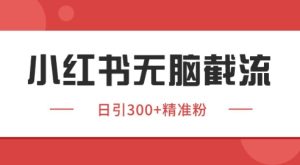 小红书截流同行客源，独家野路子获客玩法 日引200+暴力获客【揭秘】-创新Ovo